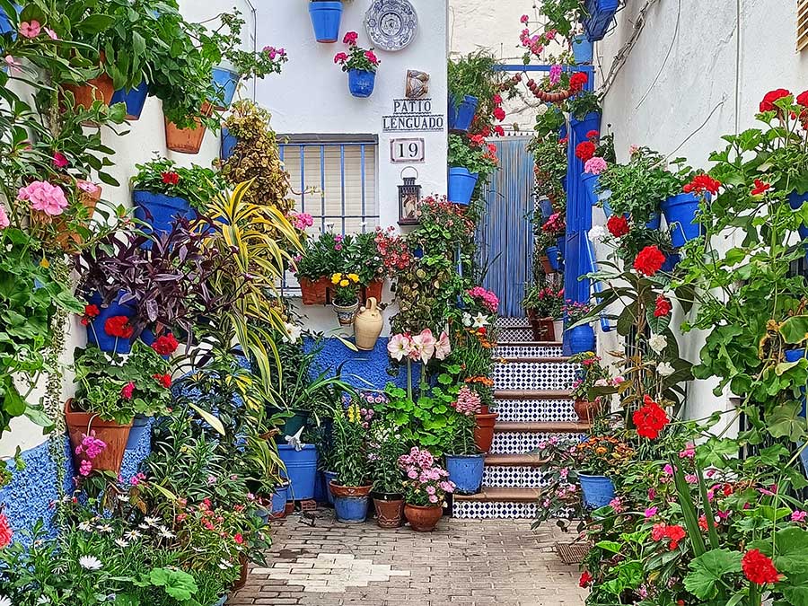 Visita  el Barrio de los pescadores