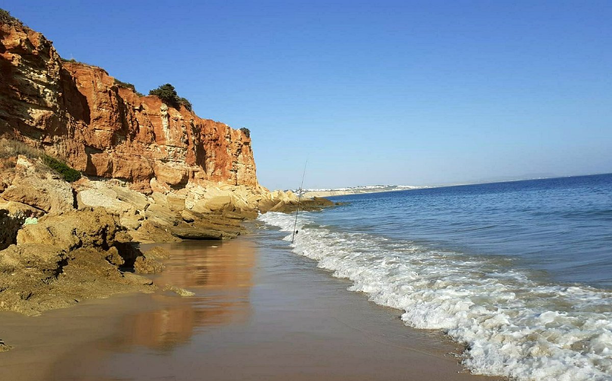 Cala del Aceite: la cala más famosa de Roche